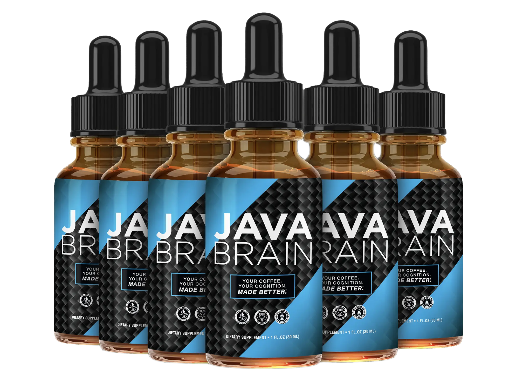 Java Brain Buy